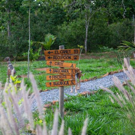 Nativo Glamping Hotel บาริชารา ภายนอก รูปภาพ