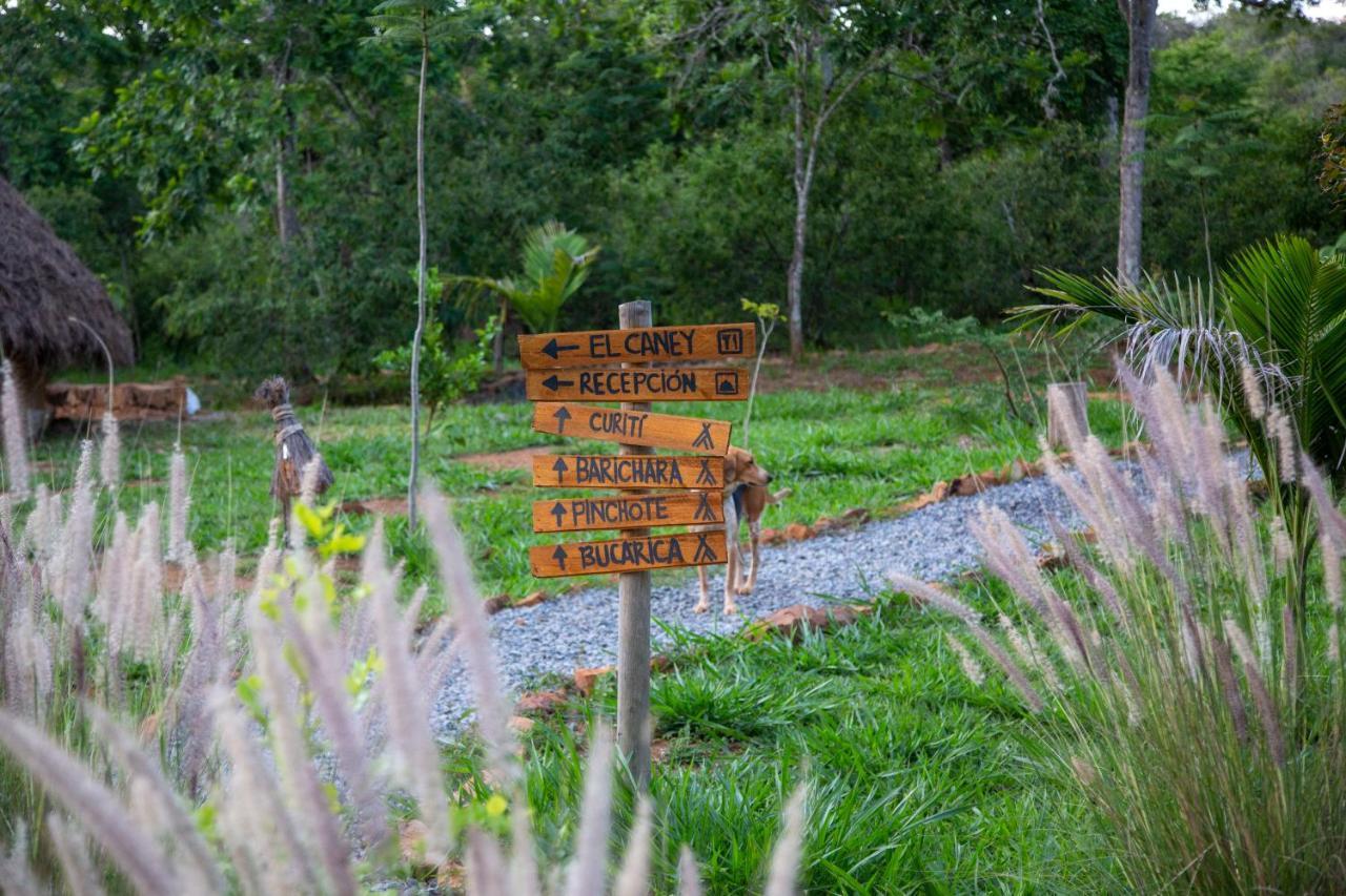 Nativo Glamping Hotel บาริชารา ภายนอก รูปภาพ