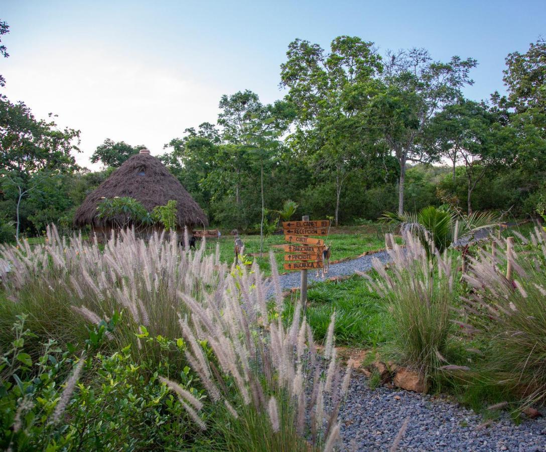 Nativo Glamping Hotel บาริชารา ภายนอก รูปภาพ