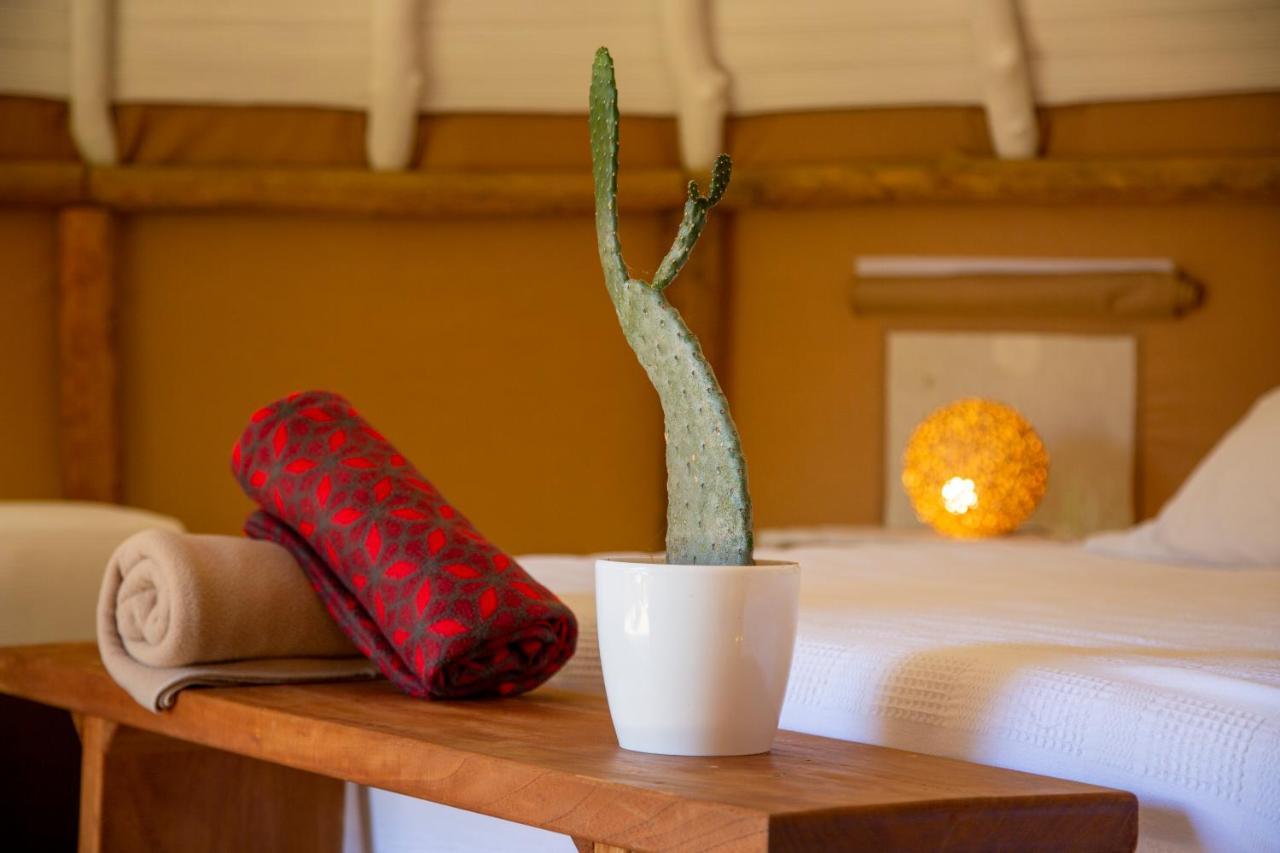 Nativo Glamping Hotel บาริชารา ภายนอก รูปภาพ