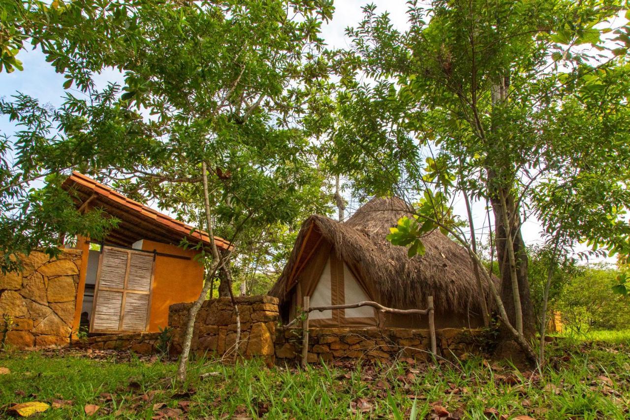 Nativo Glamping Hotel บาริชารา ภายนอก รูปภาพ
