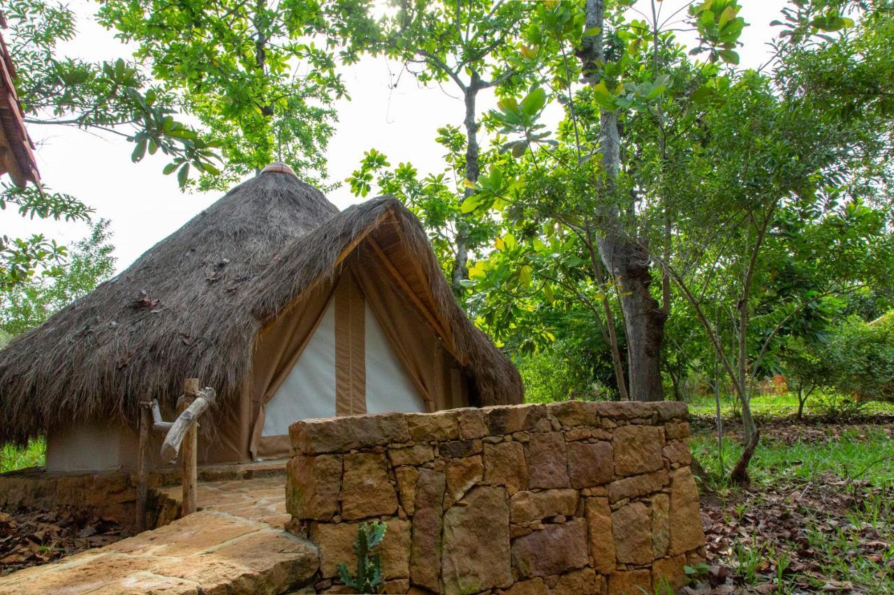 Nativo Glamping Hotel บาริชารา ภายนอก รูปภาพ