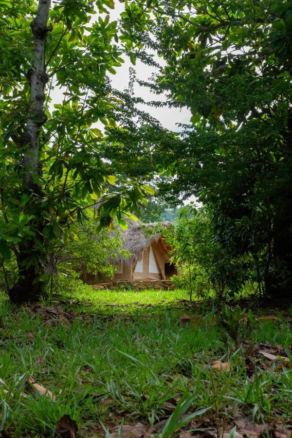 Nativo Glamping Hotel บาริชารา ภายนอก รูปภาพ