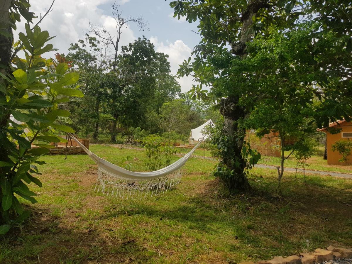 Nativo Glamping Hotel บาริชารา ภายนอก รูปภาพ