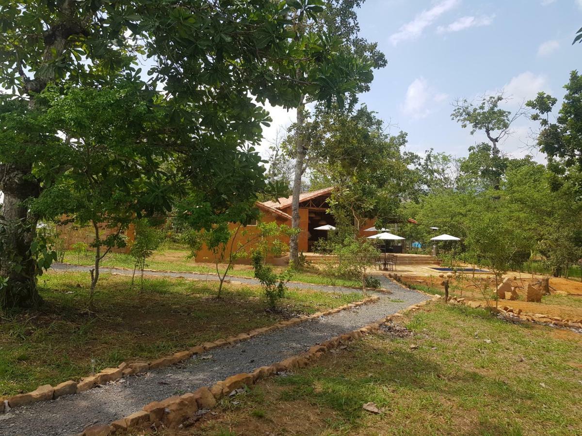 Nativo Glamping Hotel บาริชารา ภายนอก รูปภาพ